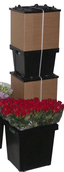 Ilustracja do pytania 222