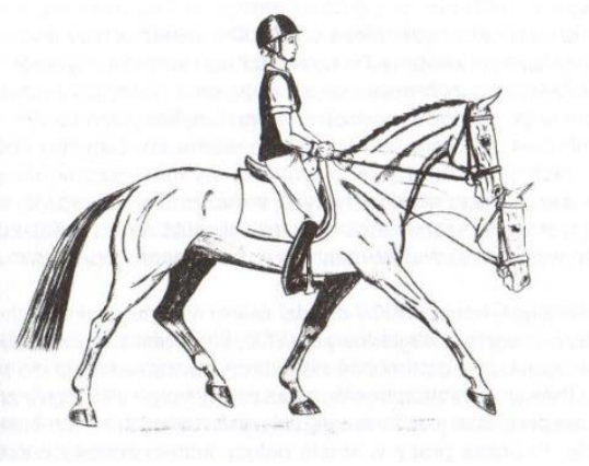 Ilustracja do pytania 41
