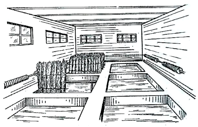 Ilustracja do pytania 29