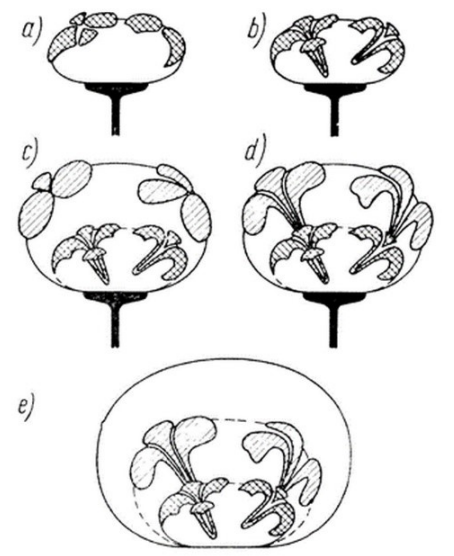 Ilustracja do pytania 97
