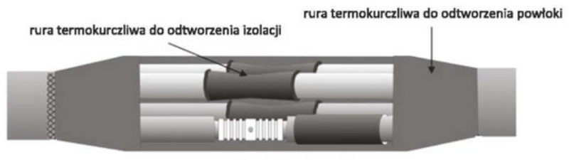 Ilustracja do pytania 137