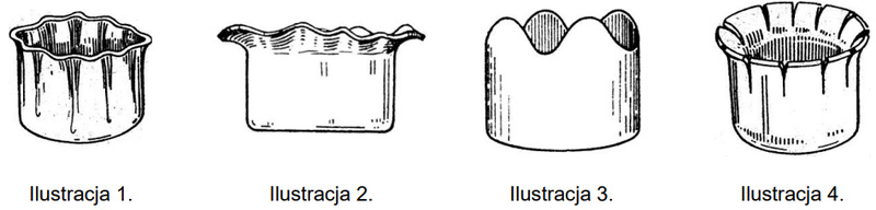 Ilustracja do pytania 233