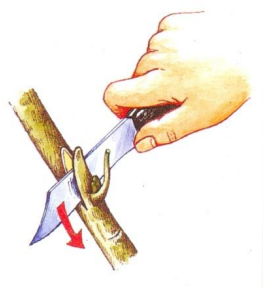 Ilustracja do pytania 218