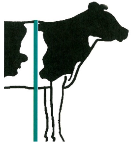 Ilustracja do pytania 60