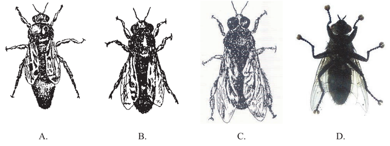 Ilustracja do pytania 16