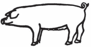 Ilustracja do pytania 15