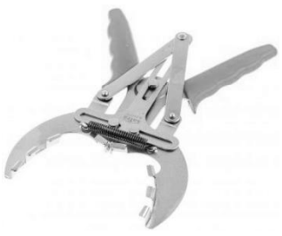 Ilustracja do pytania 587