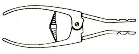 Ilustracja do pytania 29
