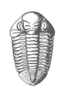 Ilustracja do pytania 22