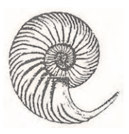 Ilustracja do pytania 22