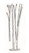Ilustracja do pytania 405