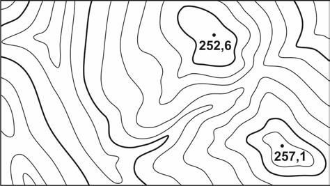 Ilustracja do pytania 295