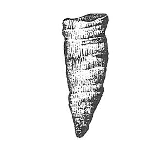 Ilustracja do pytania 455