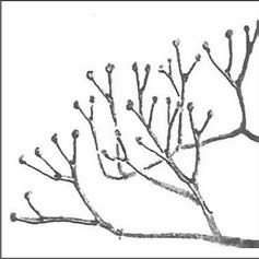 Ilustracja do pytania 290