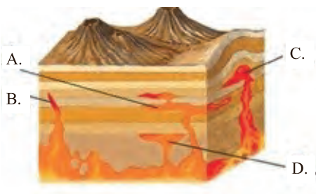 Ilustracja do pytania 312