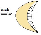 Ilustracja do pytania 225