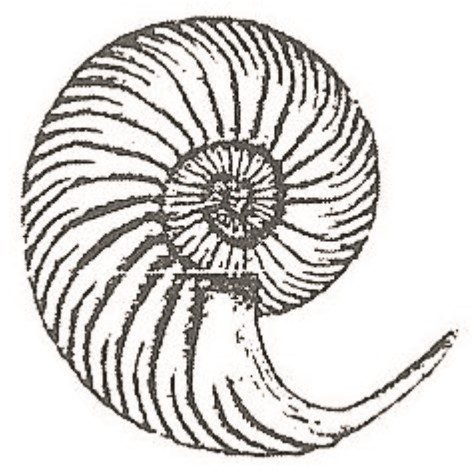Ilustracja do pytania 69