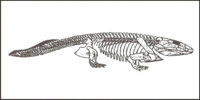Ilustracja do pytania 262