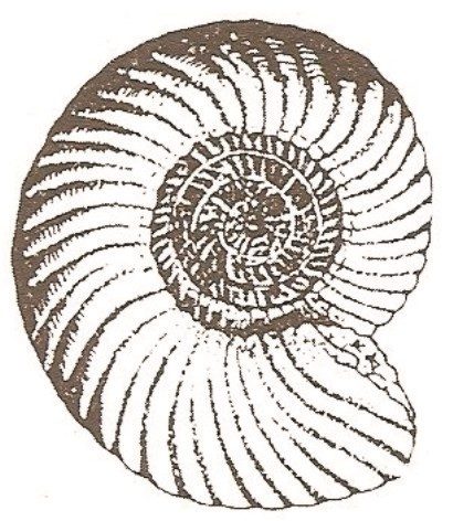 Ilustracja do pytania 421