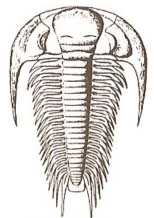 Ilustracja do pytania 421