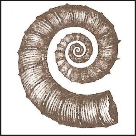 Ilustracja do pytania 380
