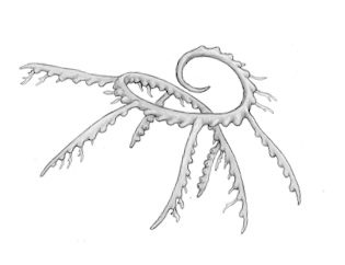 Ilustracja do pytania 49