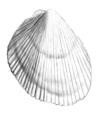 Ilustracja do pytania 49