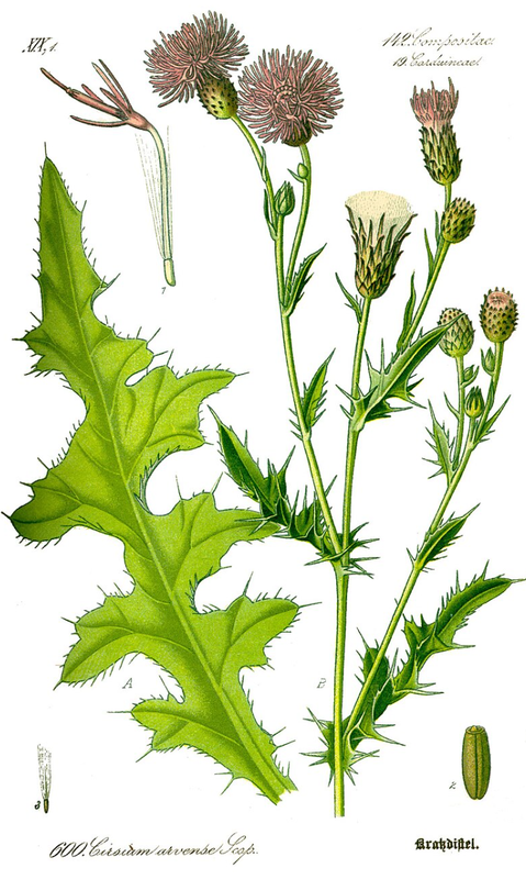 Ilustracja do pytania 73