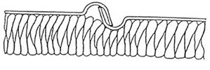 Ilustracja do pytania 33