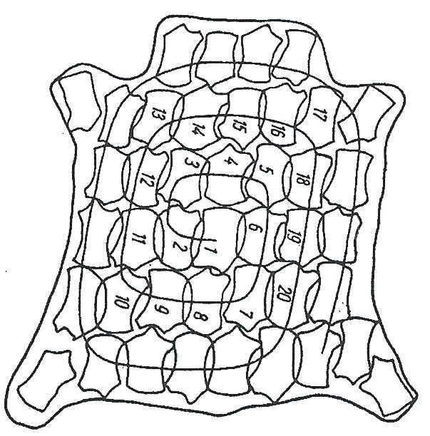 Ilustracja do pytania 5
