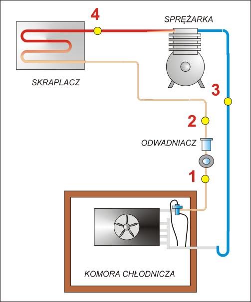 Ilustracja do pytania 220