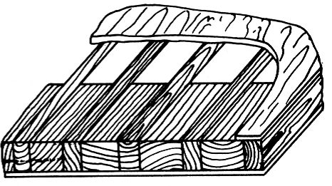 Ilustracja do pytania 319