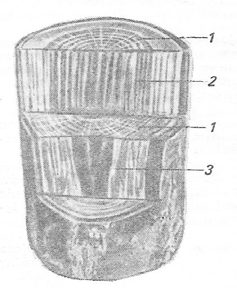 Ilustracja do pytania 621