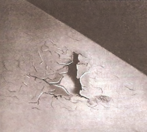 Ilustracja do pytania 275