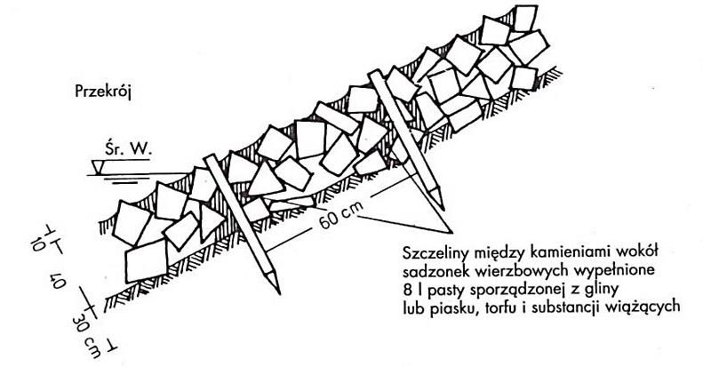 Ilustracja do pytania 316