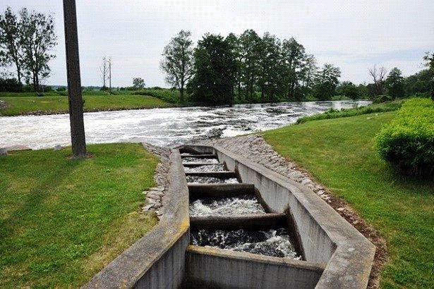 Ilustracja do pytania 48