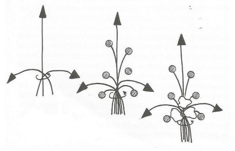 Ilustracja do pytania 926