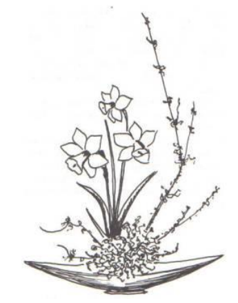 Ilustracja do pytania 801