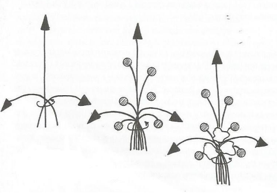 Ilustracja do pytania 609