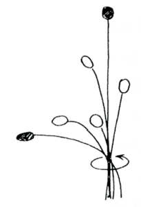 Ilustracja do pytania 303