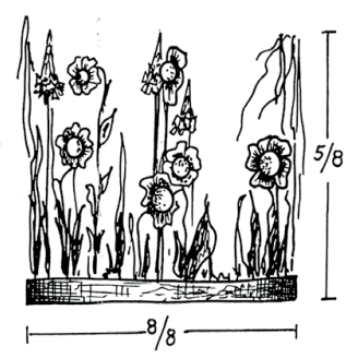 Ilustracja do pytania 102