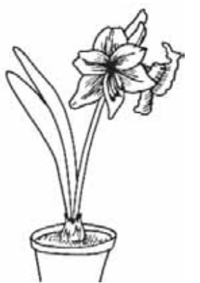 Ilustracja do pytania 452