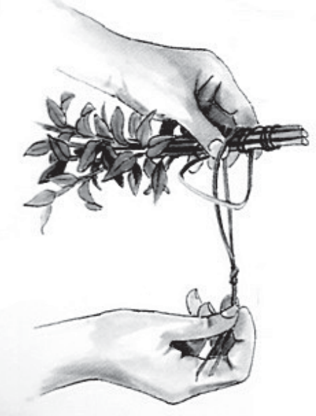 Ilustracja do pytania 374