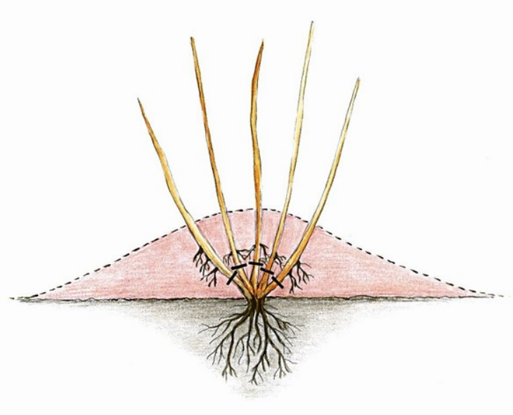 Ilustracja do pytania 262
