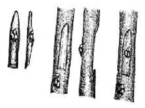Ilustracja do pytania 1101
