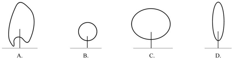 Ilustracja do pytania 836