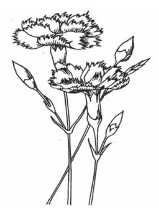 Ilustracja do pytania 718