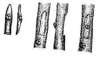 Ilustracja do pytania 434