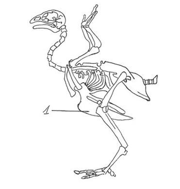 Ilustracja do pytania 569