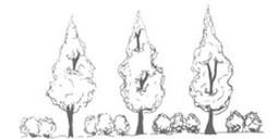 Ilustracja do pytania 243